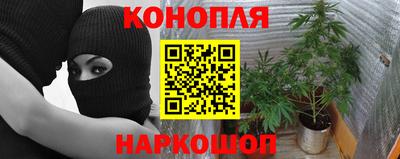 a pvp Нальчик
